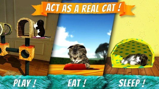 Cat Simulator