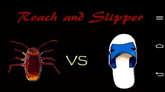 Roach  Slipper(Stress relief )