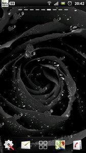 black rose live wallpaper