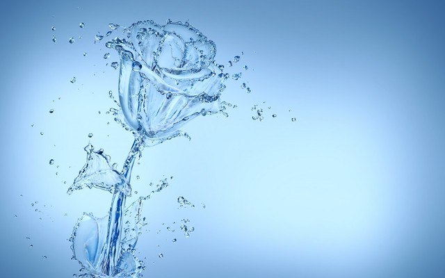 Rose Made Of Water