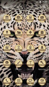 crazy leopard theme