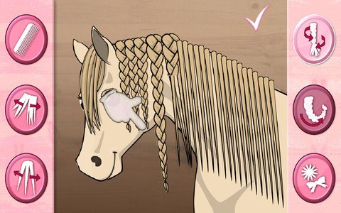 Horse Care - Mane Braiding