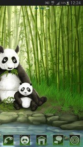 GO Launcher EX Theme Panda
