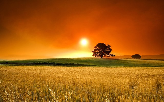 Fields Of Autumn