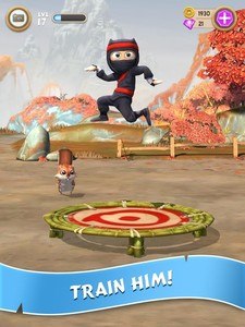 Clumsy Ninja