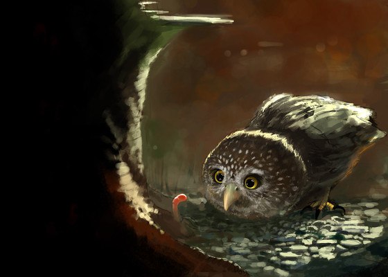 Owl Art