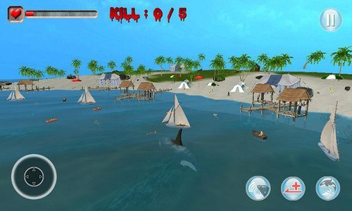 Killer Whale Simulator 3D