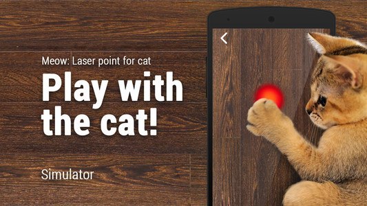 Meow: Laser point for cat