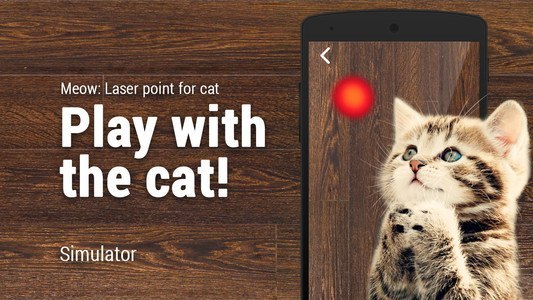 Meow: Laser point for cat