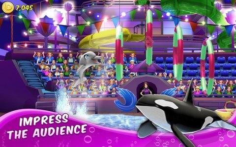 My Dolphin Show