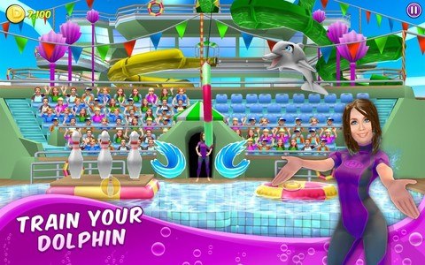 My Dolphin Show