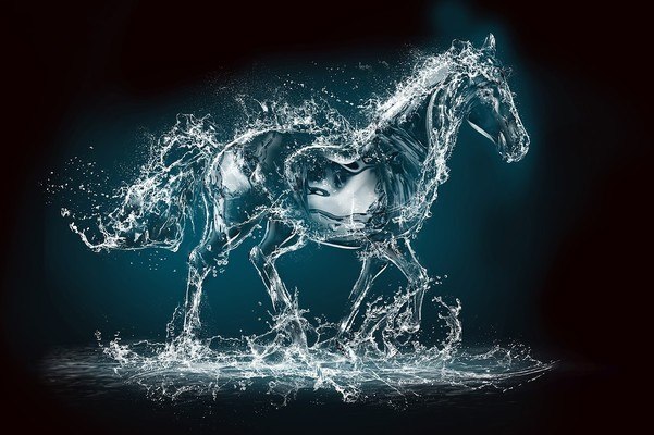 Amazing Water Horse