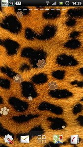 Leopard Print live wallpaper