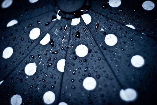 Umbrella Water Drops