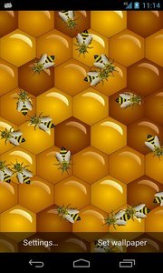 Bee Live Wallpaper