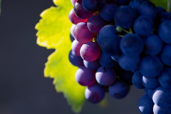 Grapes