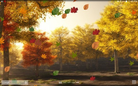 Colorful Autumn Live Wallpaper