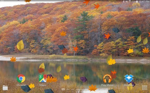 Colorful Autumn Live Wallpaper