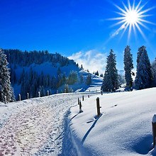 Winter Alpine Road