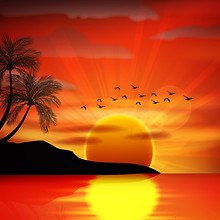 Sunset Illustration