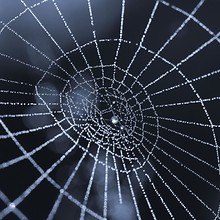 Wet Spiders Web