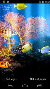 Fish Aquarium Free