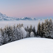 Winter Above The Fog