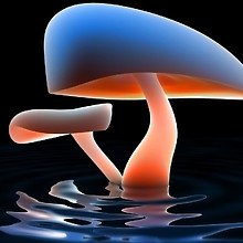 Mushroom Water
