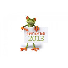 2013 Frog