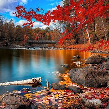 Red Autumn River
