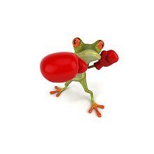 Funny Boxing Frog
