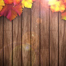Autumn Leaves On Wooden Background