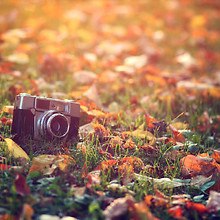 Vintage Autumn Camera