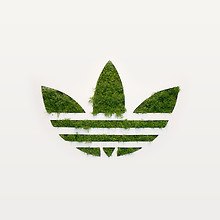 Adidas Bush Logo