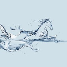Water Horse And Fish