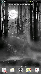 misty forest at night LWP