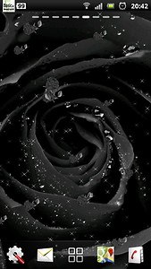 black rose live wallpaper