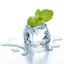 Ice Cube With Mint