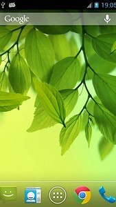 Leaf Live Wallpaper
