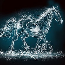 Amazing Water Horse